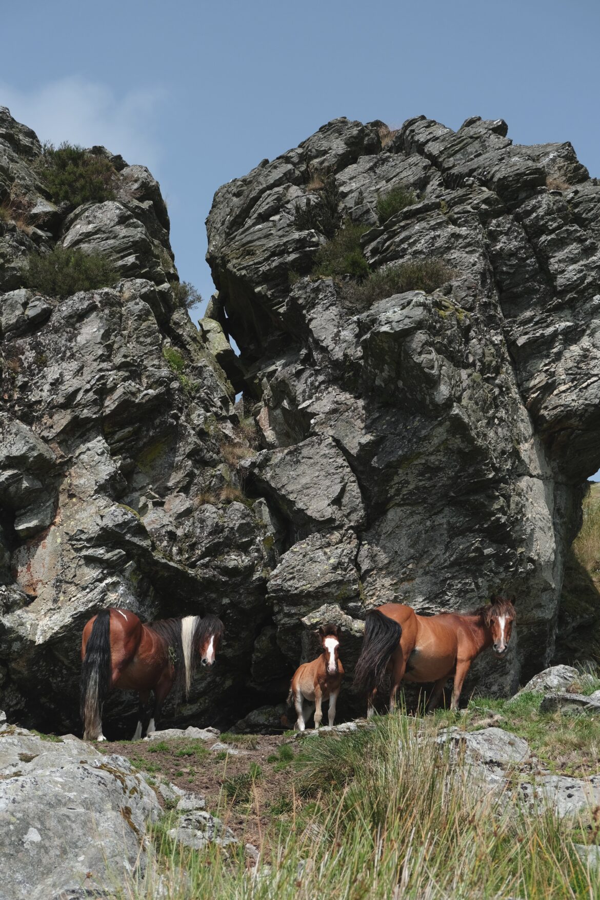 Hoogbegaafd geloven – stilte in de kerk